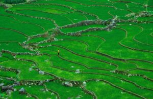 <h2>Vietnam Travel Guide 2026 Highlights</h2> <img src="halong-bay.jpg" alt="Vietnam Travel Guide 2026 Ha Long Bay cruise" /> <img src="hoi-an.jpg" alt="Vietnam Travel Guide 2026 Hoi An lantern streets" /> <img src="phu-quoc.jpg" alt="Vietnam Travel Guide 2026 Phu Quoc island beach" />